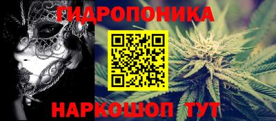 индика Азнакаево