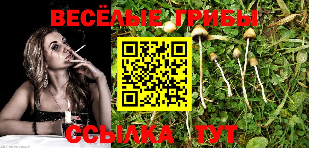 Алексин  Псилоцибиновые грибы мухоморы  Вход с VPN 