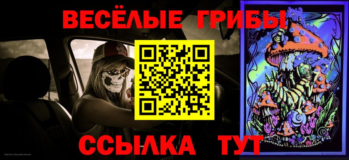 Псилоцибиновые грибы MAGIC MUSHROOMS  Алексин 