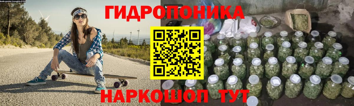 Бошки Шишки гибрид  Алексин  Марихуана White Widow  Шишки марихуана индика 